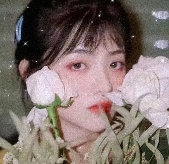 青春俱乐部